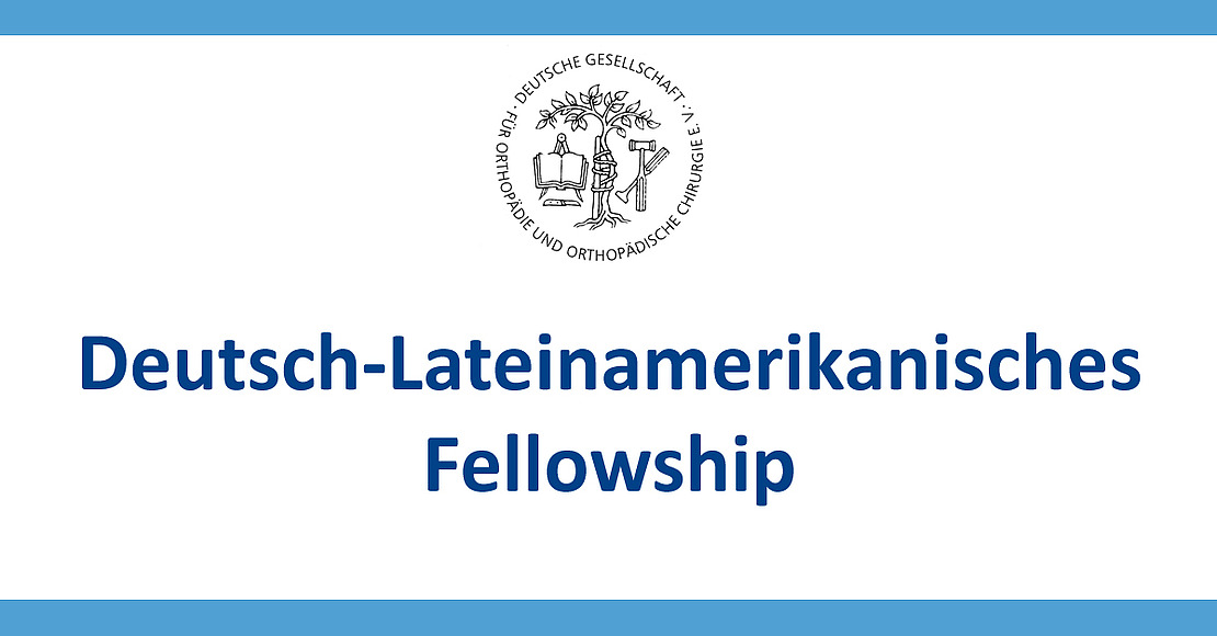 Deutsch-Lateinamerikanisches Fellowship