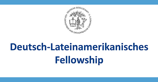 Deutsch-Lateinamerikanisches Fellowship
