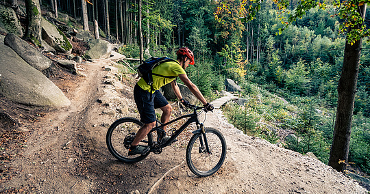 Montainbiker fährt steilen Abhang im Wald