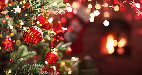 © Pasko Maksim / Adobe Stock Tannenbaum mit roten Kugeln